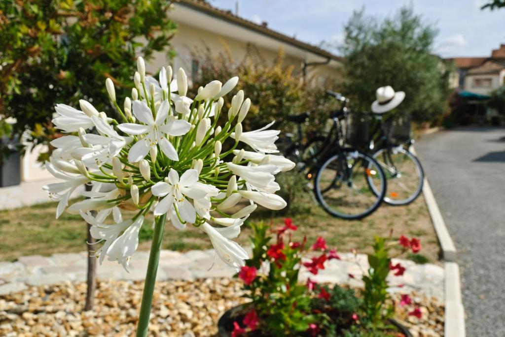 Logis Hotel L'Oliveraie Cognac Kültér fotó